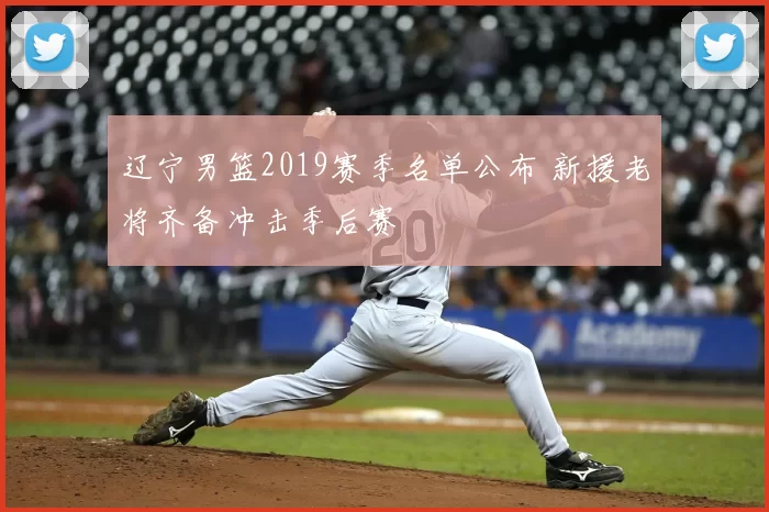 辽宁男篮2019赛季名单公布 新援老将齐备冲击季后赛