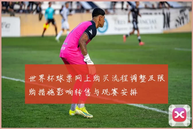 世界杯球票网上购买流程调整及限购措施影响转售与观赛安排
