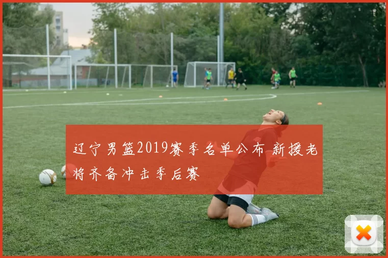 辽宁男篮2019赛季名单公布 新援老将齐备冲击季后赛