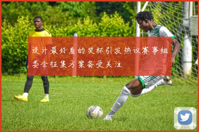 设计最好看的奖杯引发热议赛事组委会征集方案备受关注