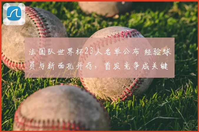 法国队世界杯23人名单公布 经验球员与新面孔并存，首发竞争成关键