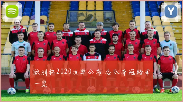 欧洲杯2020注单公布 各队夺冠赔率一览
