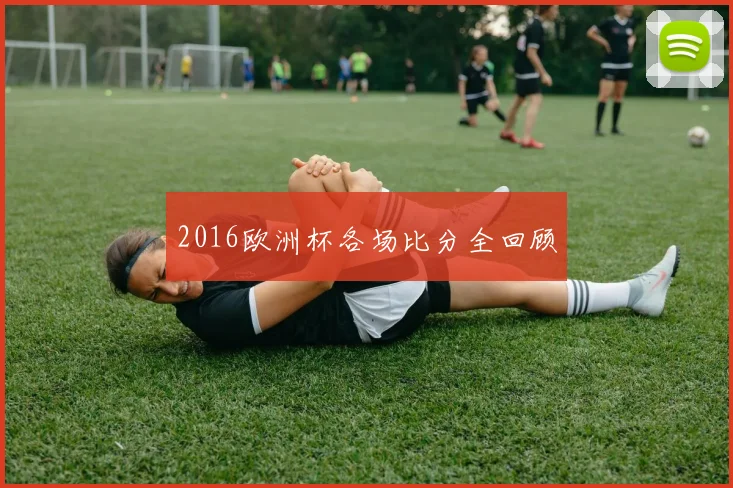 2016欧洲杯各场比分全回顾