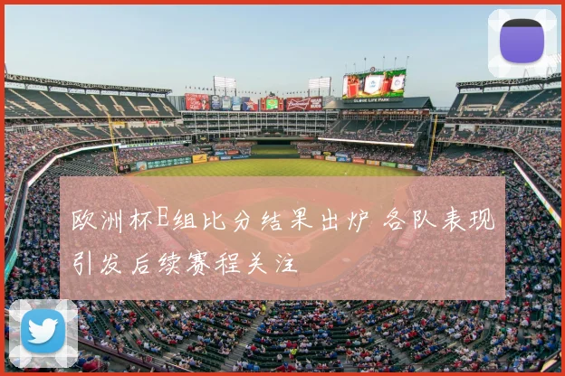 欧洲杯E组比分结果出炉 各队表现引发后续赛程关注