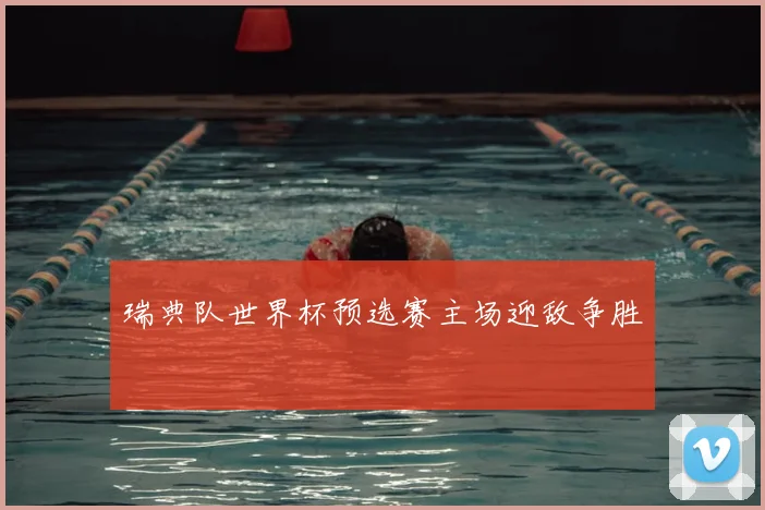 瑞典队世界杯预选赛主场迎敌争胜