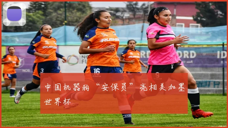 中国机器狗“安保员”亮相美加墨世界杯